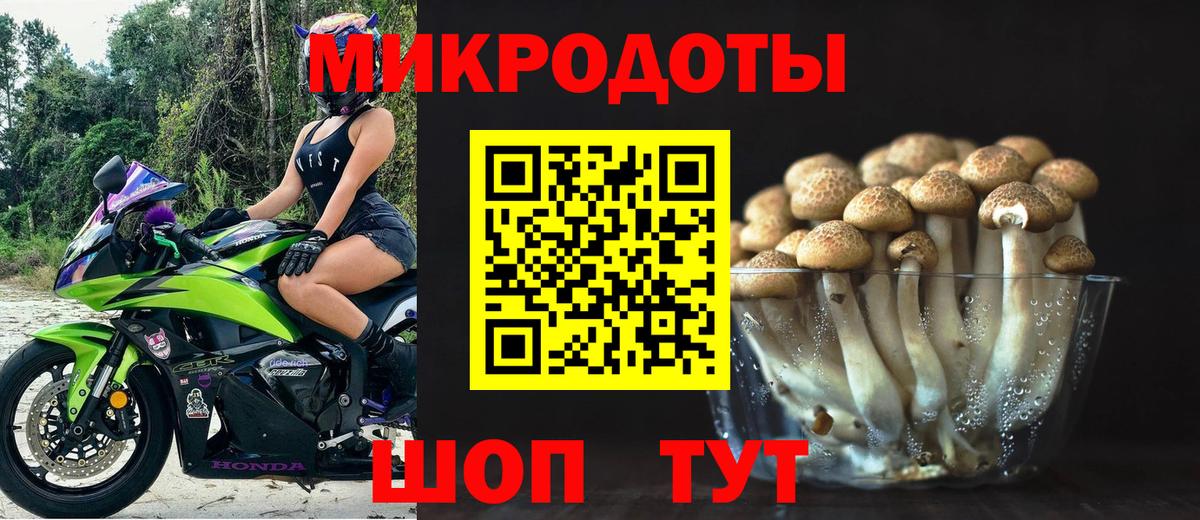 Галлюциногенные грибы Cubensis  Вход с VPN  Кулебаки  Галлюциногенные грибы прущие грибы 